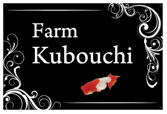 トーワ・ケミカル FRP | 宇野系らんちゅう Farm Kubouchi - 楽天