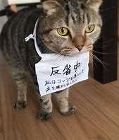 則天去私を求める者