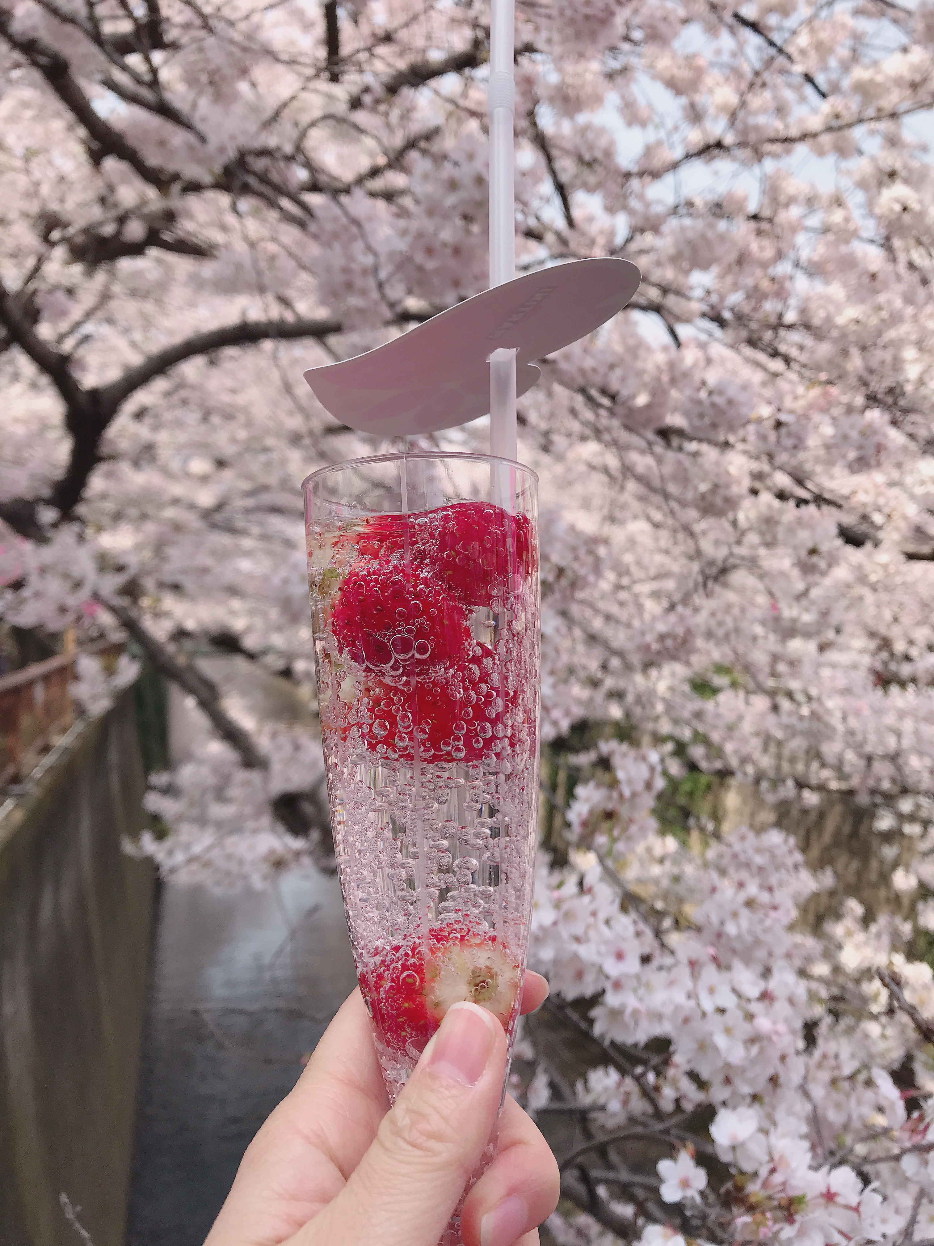 プチププ