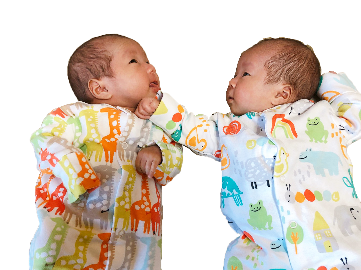 第2回撮影秘話 双子妊娠とお腹の大きさの変化 前編 顔や仕草もそっくり 一卵性双生児 ミルク量 睡眠量 体重などデータ公開 楽天ブログ