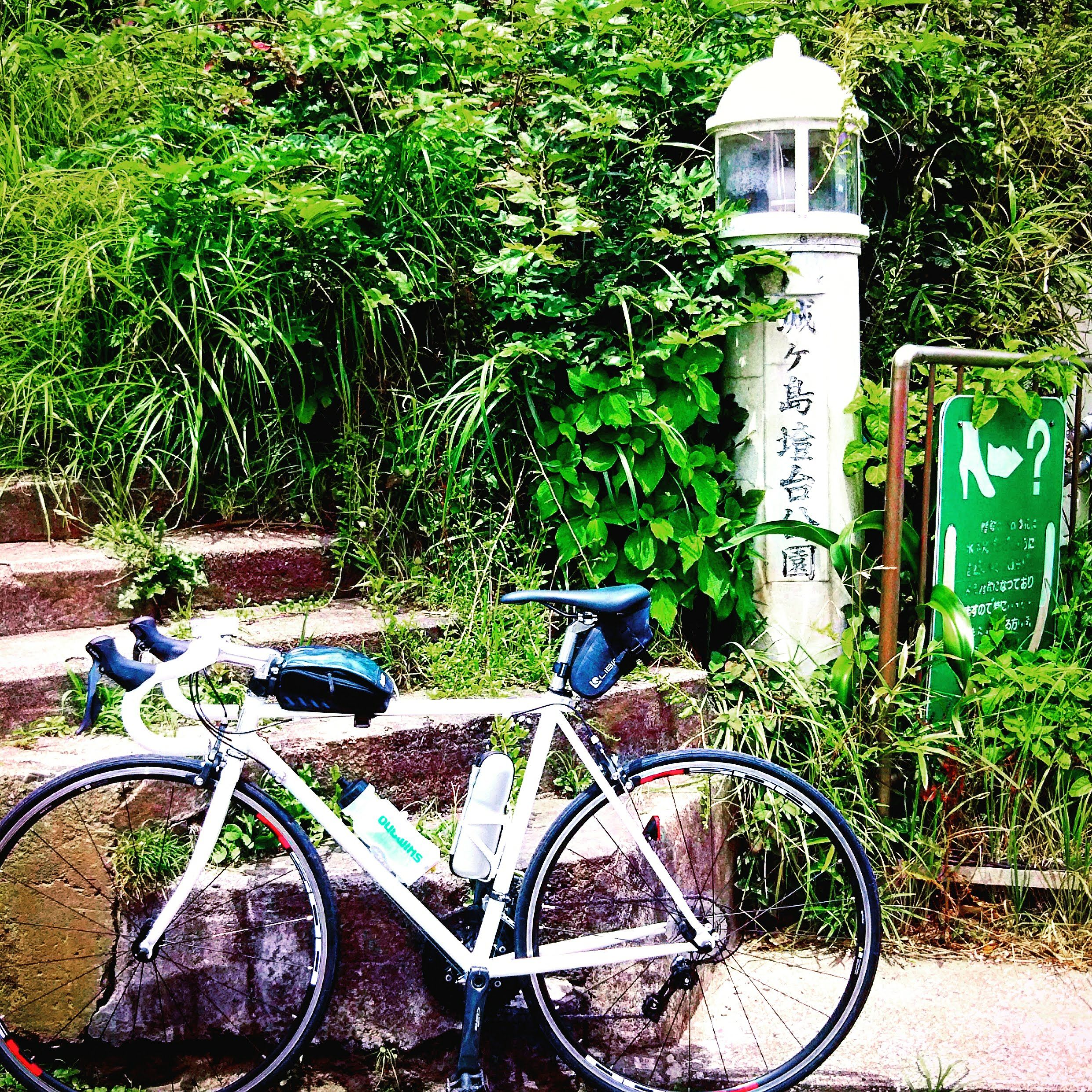 ゆるゆるさーん