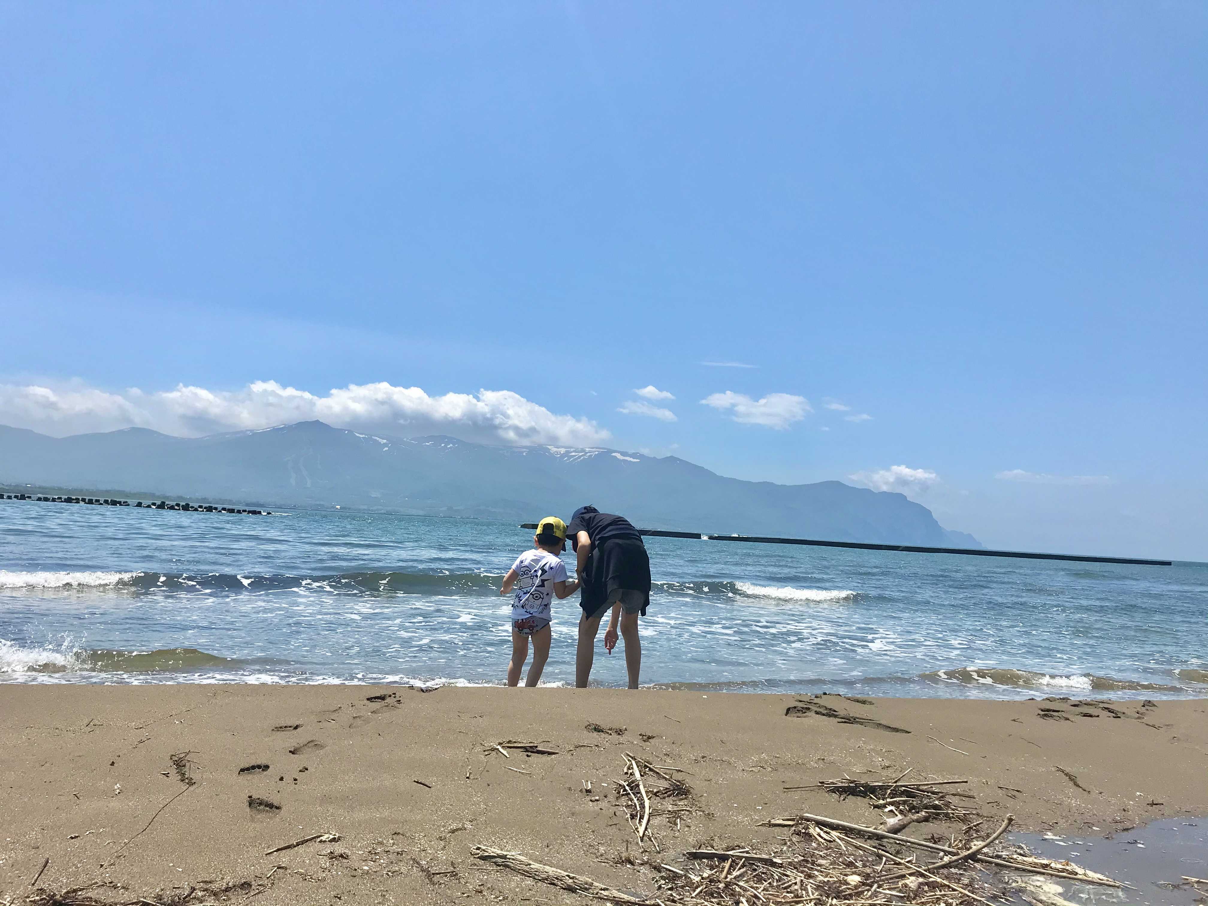 北海道れんこん