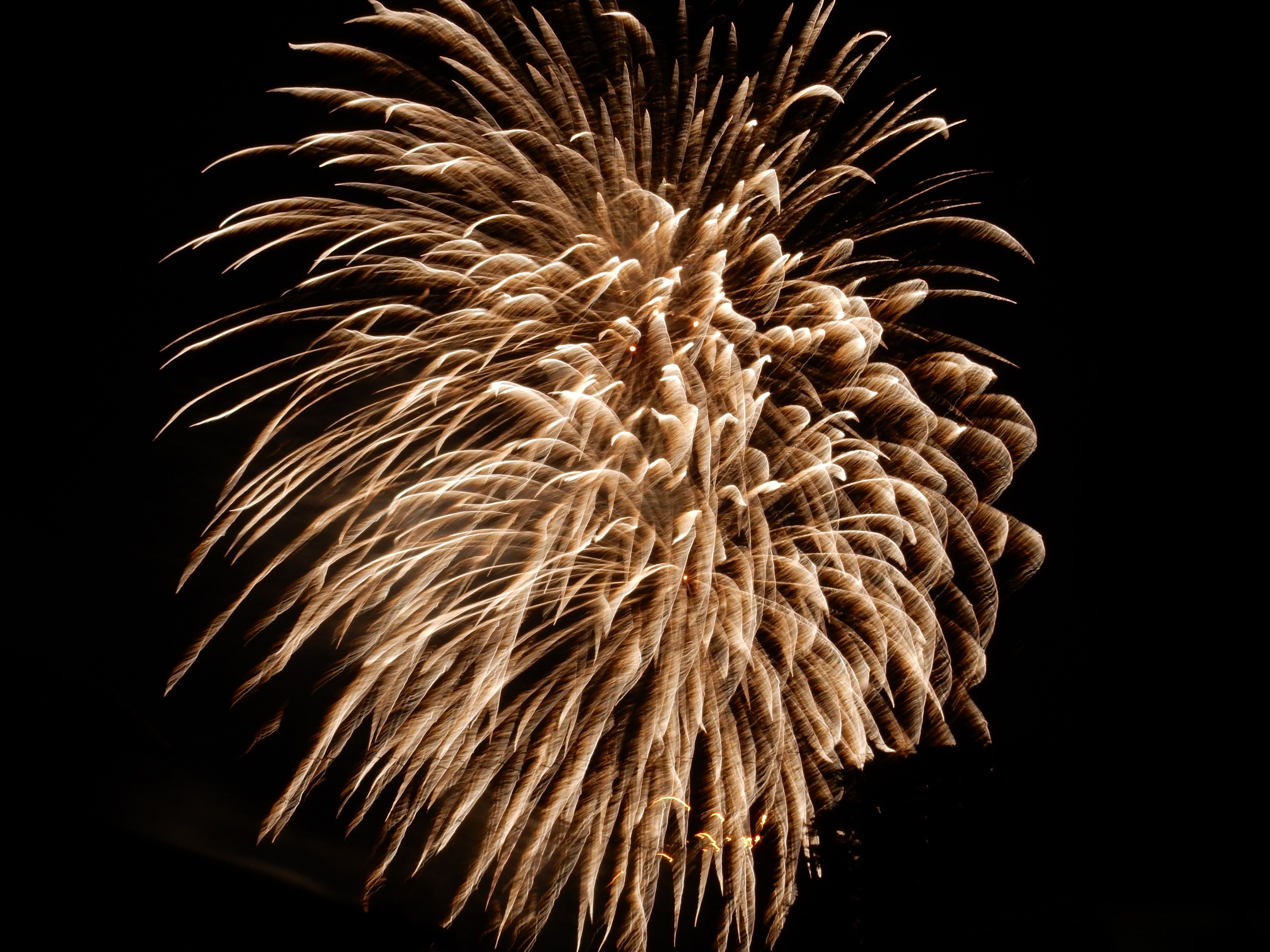 センチメンタルサーカス メリーゴーランドリング 指輪 センチメンタルサーカス メリーゴーランドリング 指輪