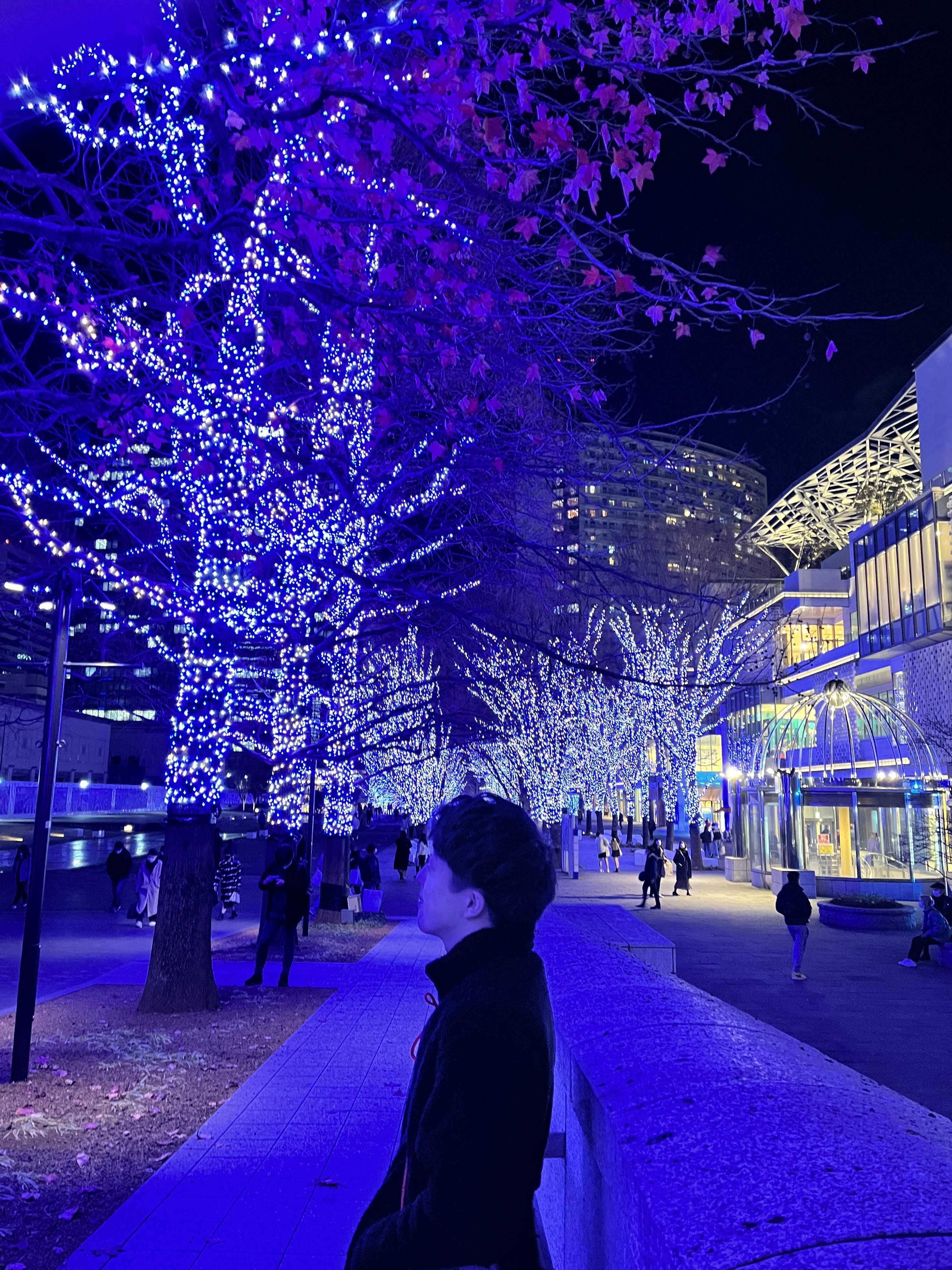 ザッキーの改革部屋