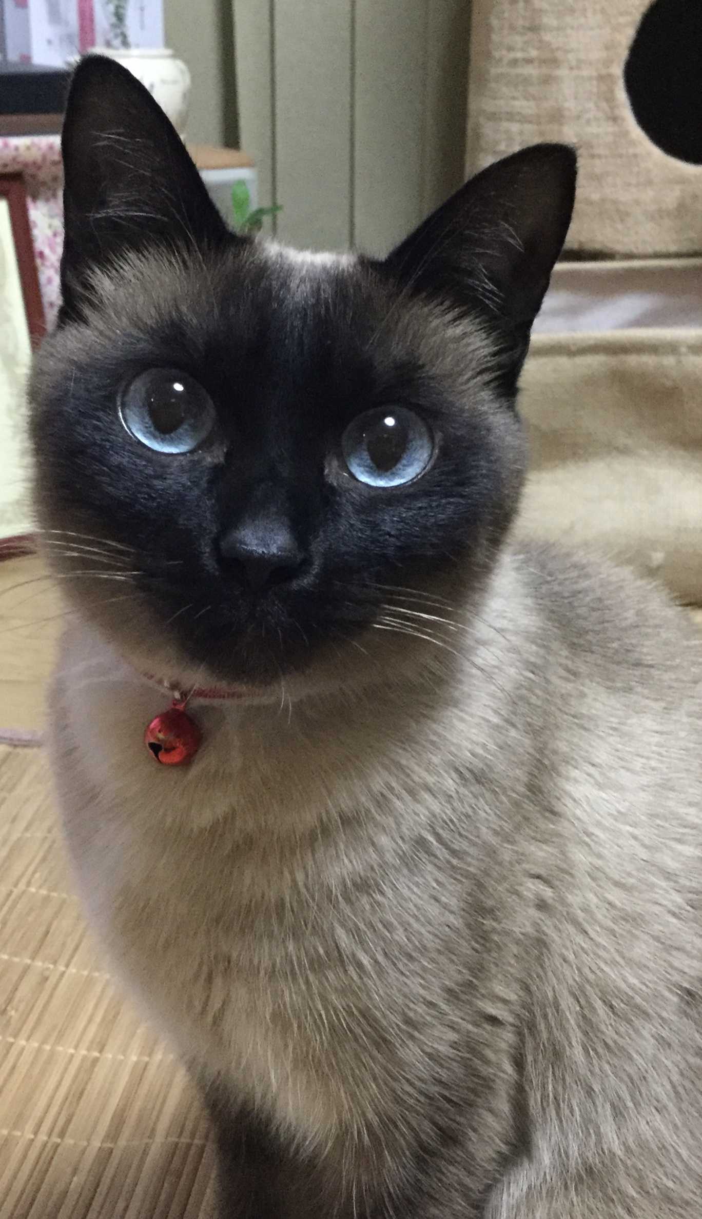 空〜ちゃんのパパ