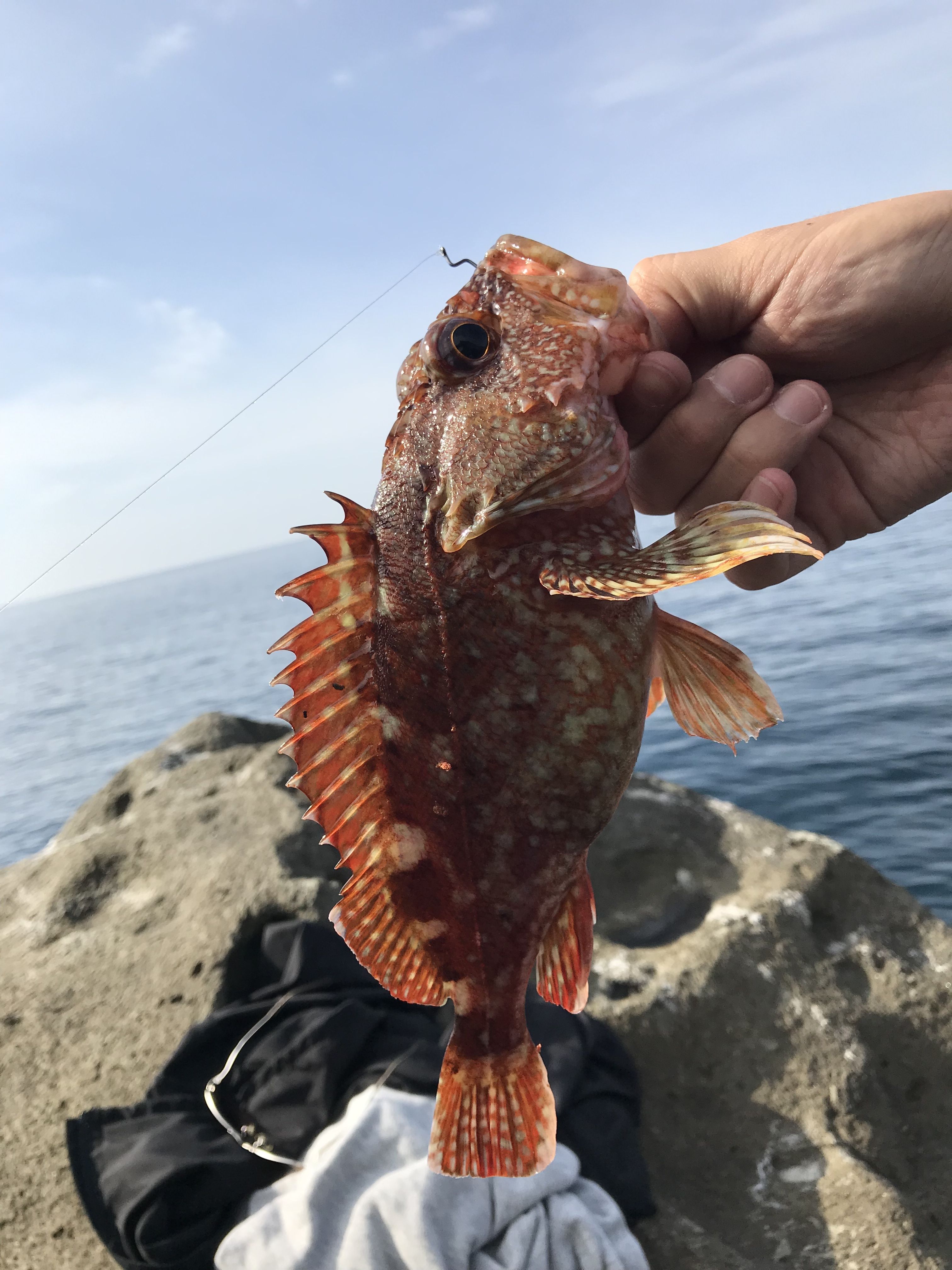 ルアー釣り全般のブログ 楽天ブログ