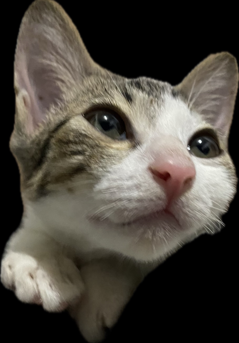 Pochiineco