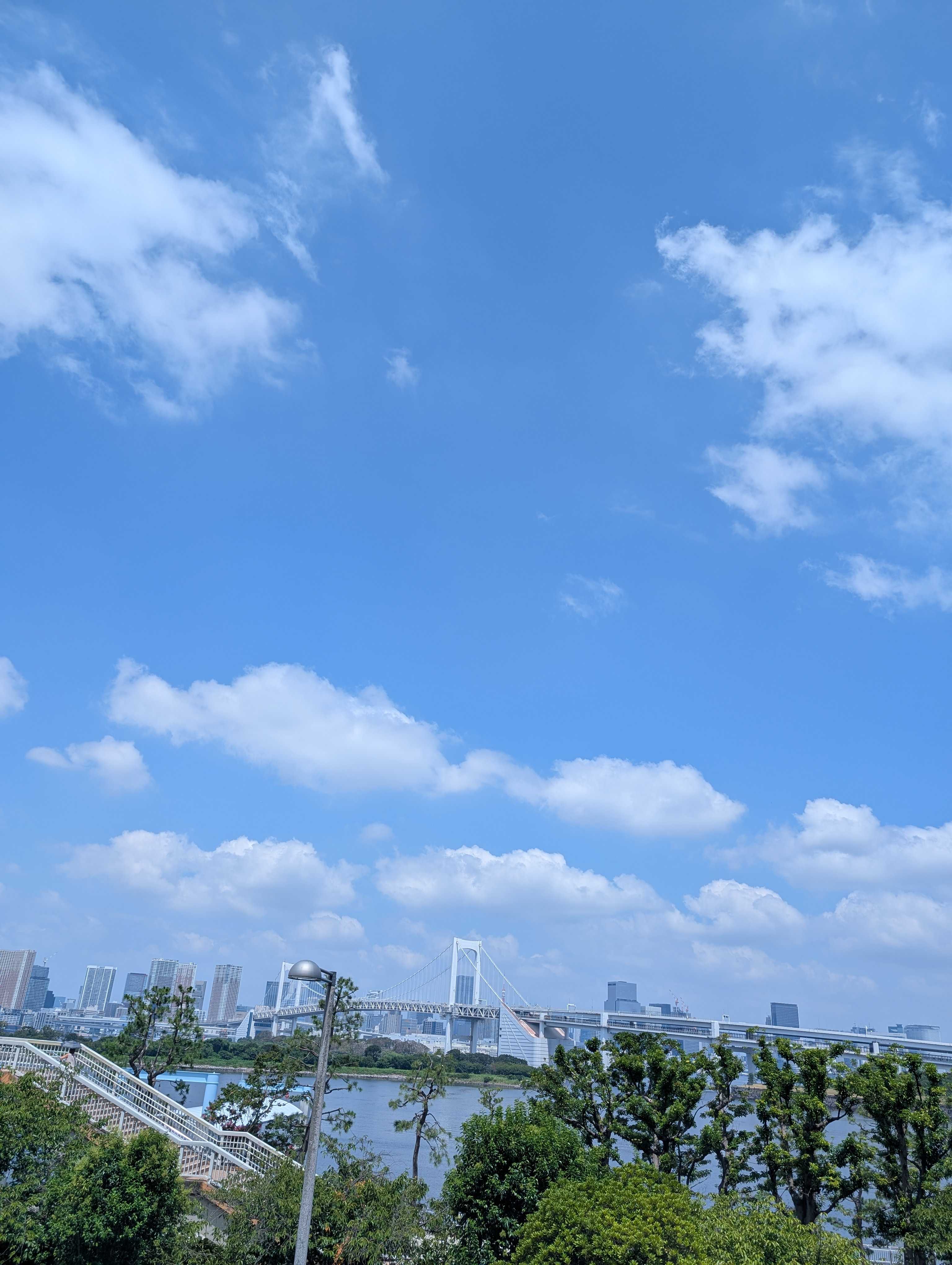 ピンク大好き4649