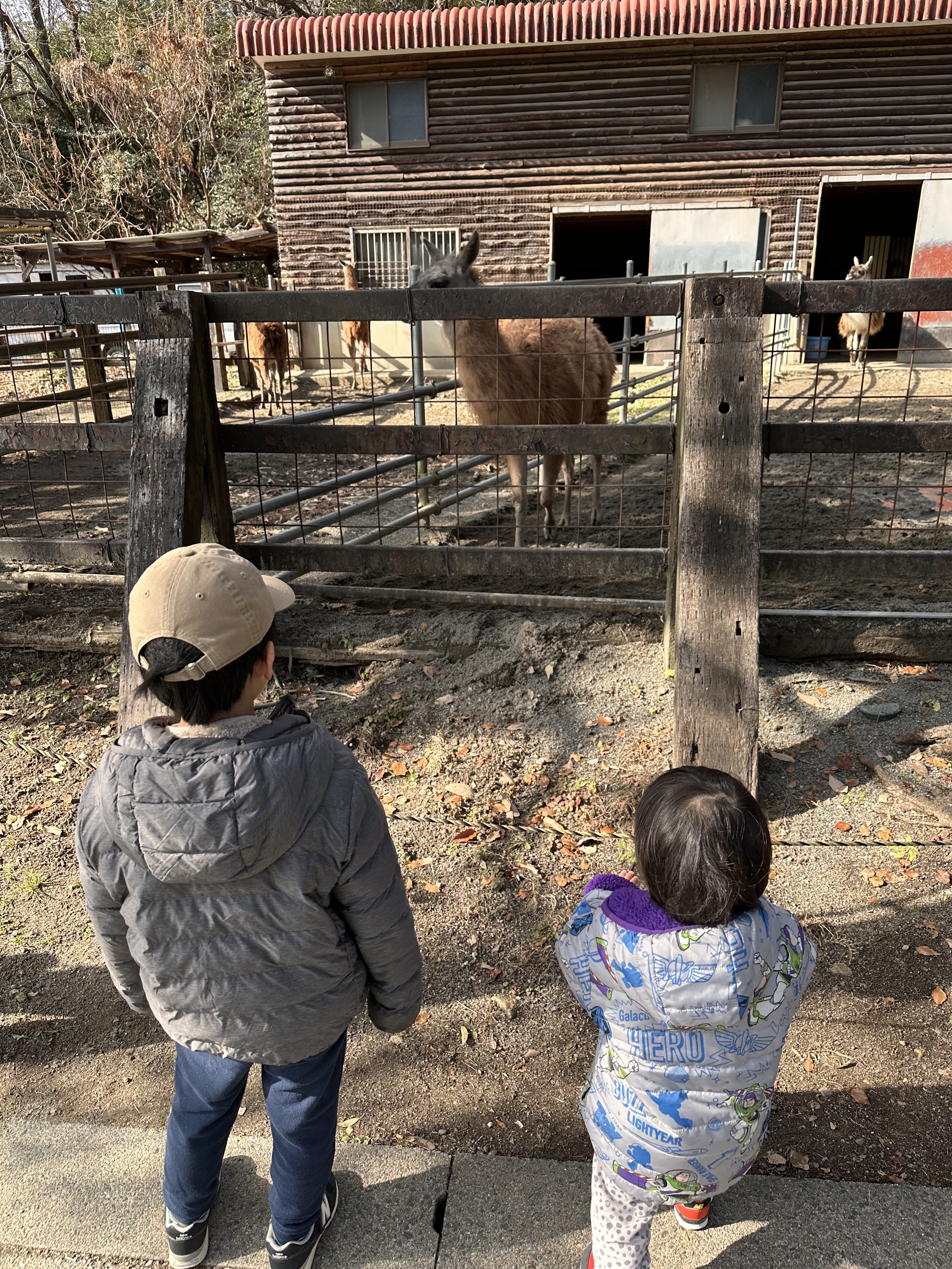 いぶき3人の男の子のパパ