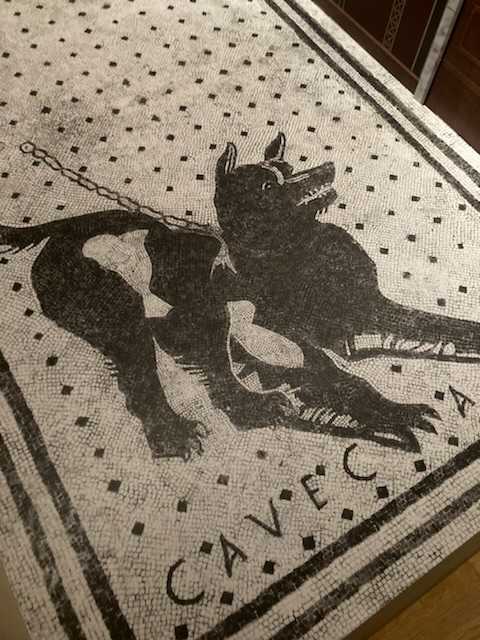 りぞっとねぇろ