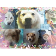 ☆シロ☆★れお★