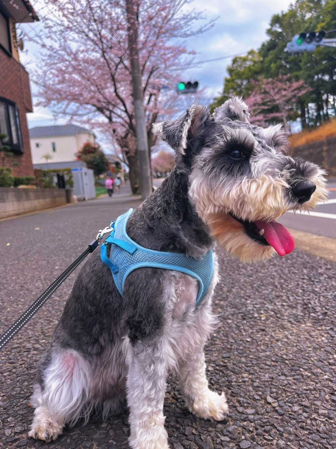 たけちゃ〜む