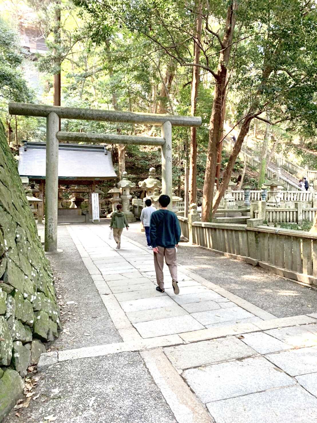 甘党ほねせんべい