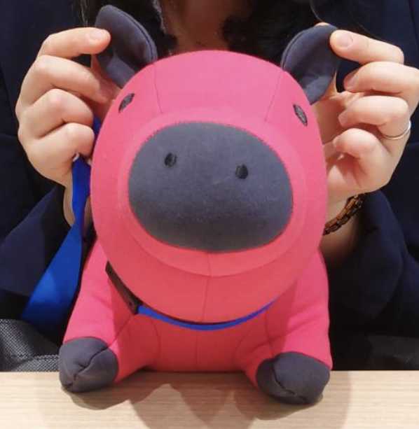 poccopoco3