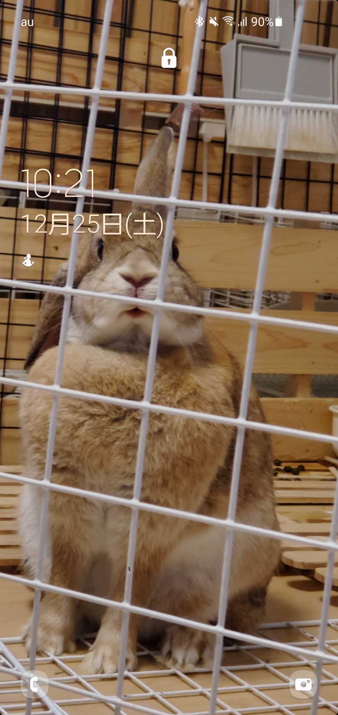 たんとりさん