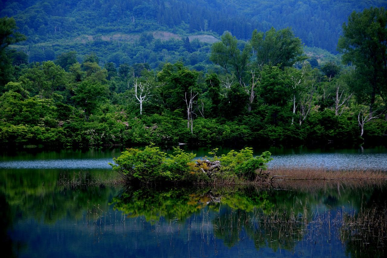 フリーページ一覧 風景の森 風景写真家 清野 彰の世界 楽天ブログ