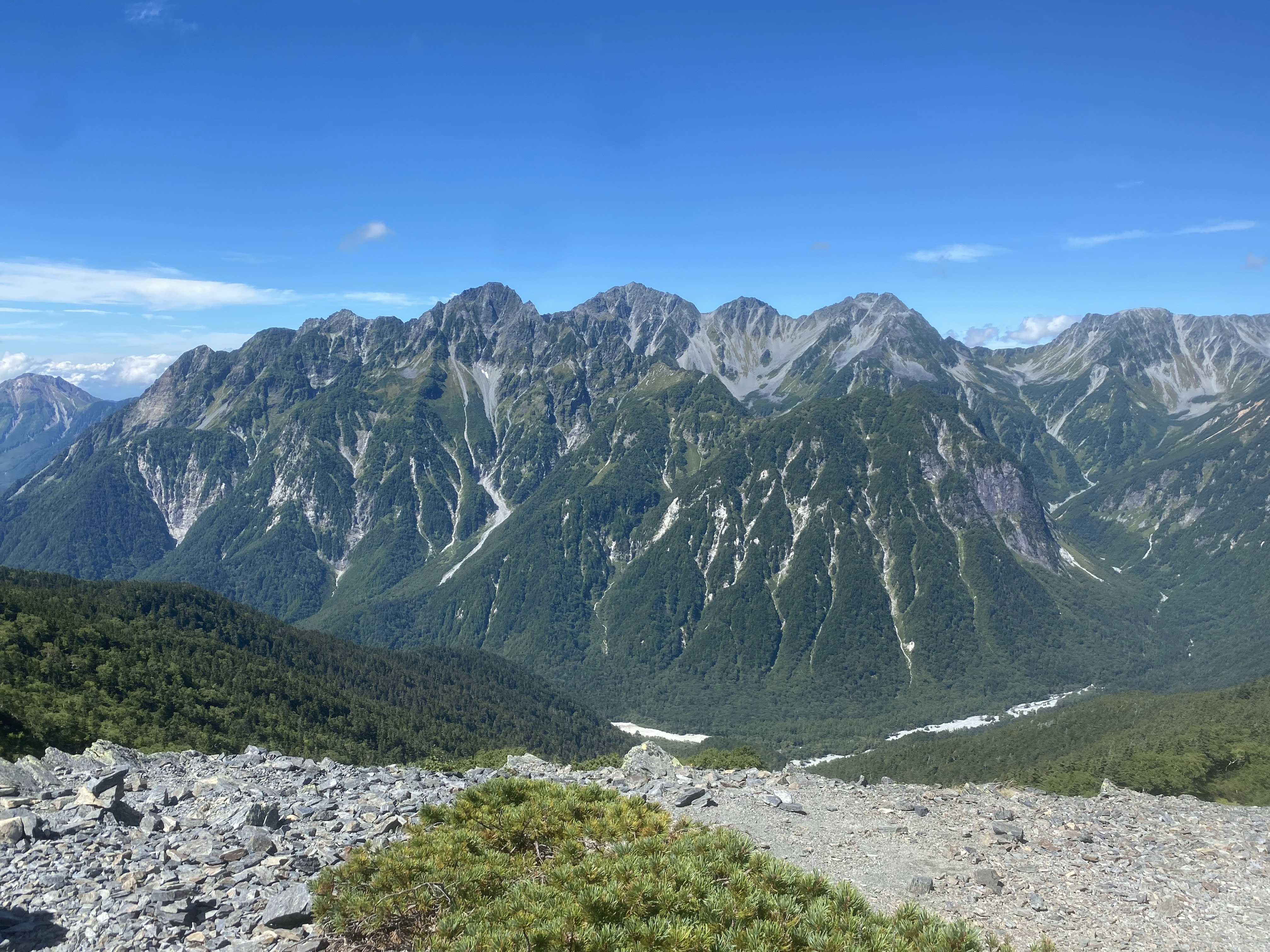 サクッとマスオ