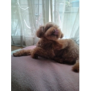 ニッコ１２０７