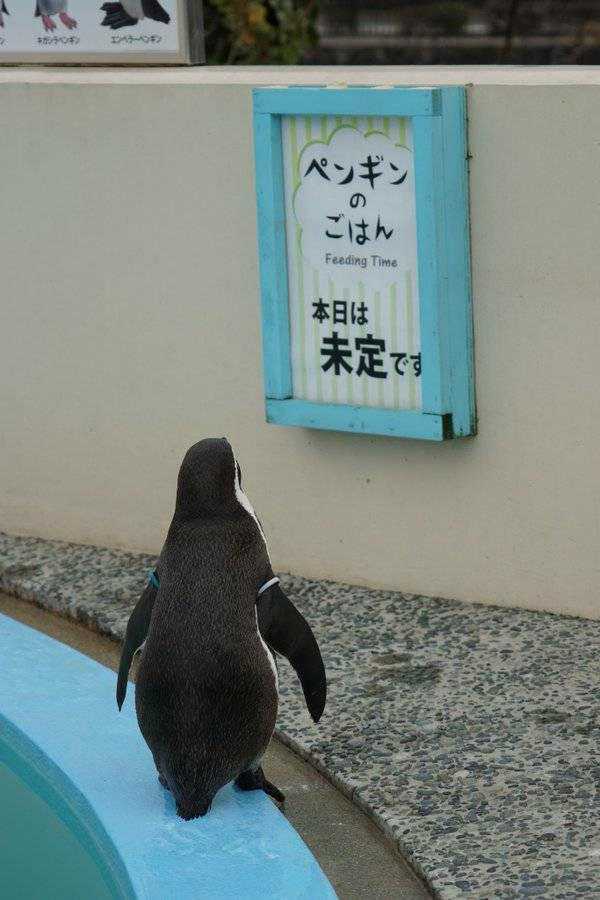 よろずやペンさん