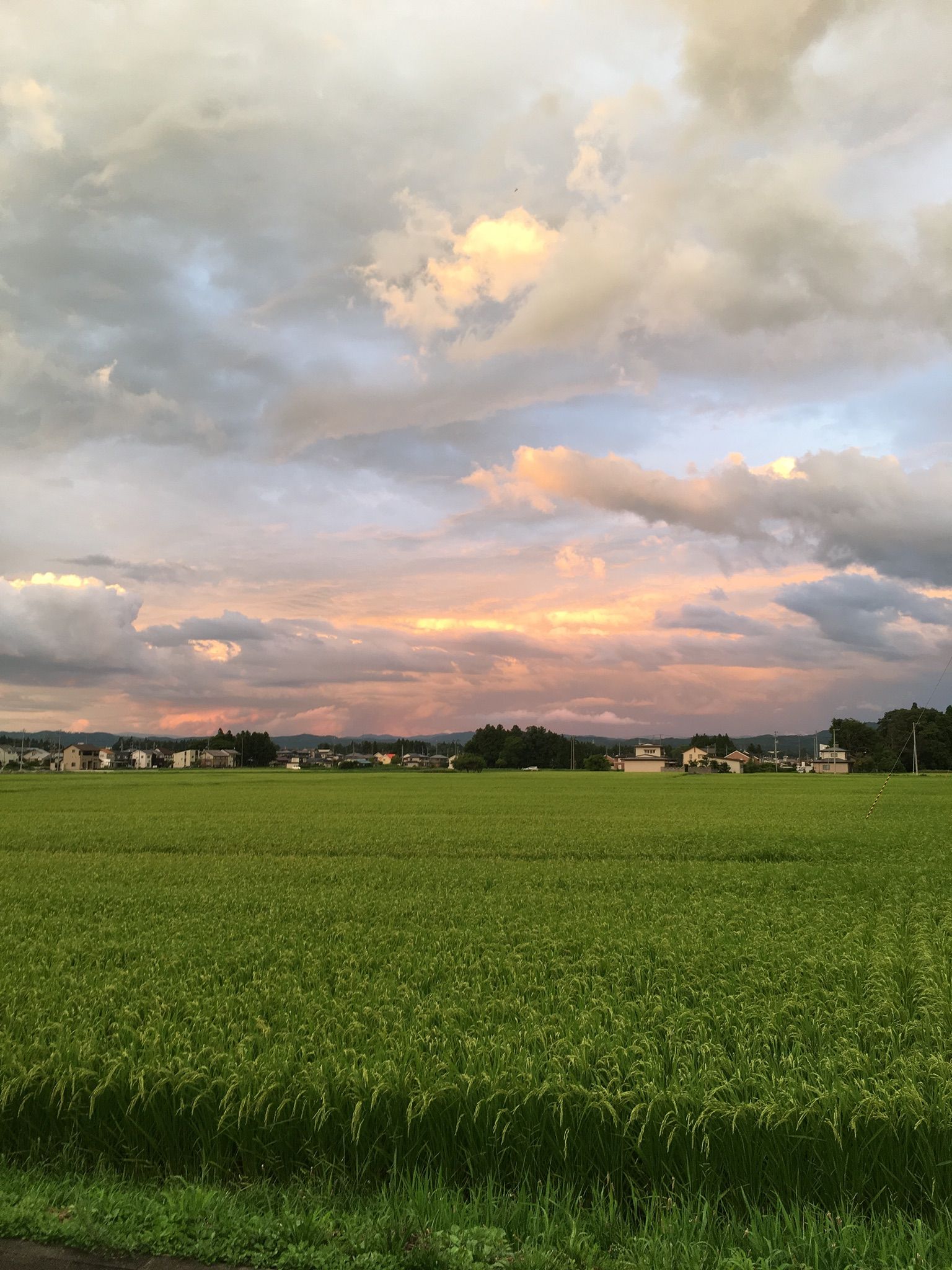 らる3449