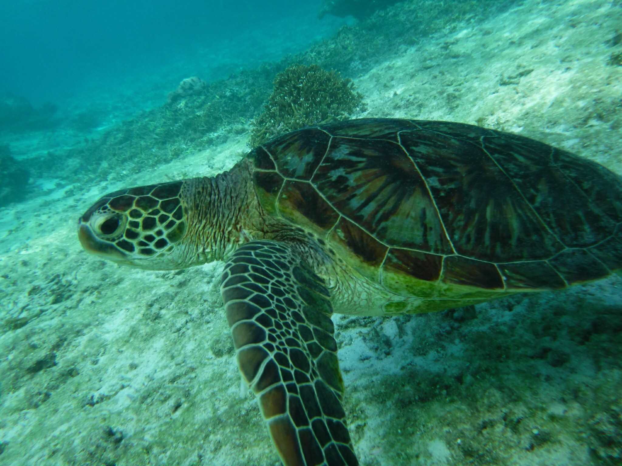 新しい人生へ向けて休憩中 楽天ブログ