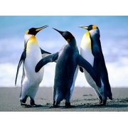 とどけ！きみに！