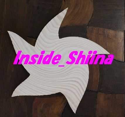 Inside_Shiina