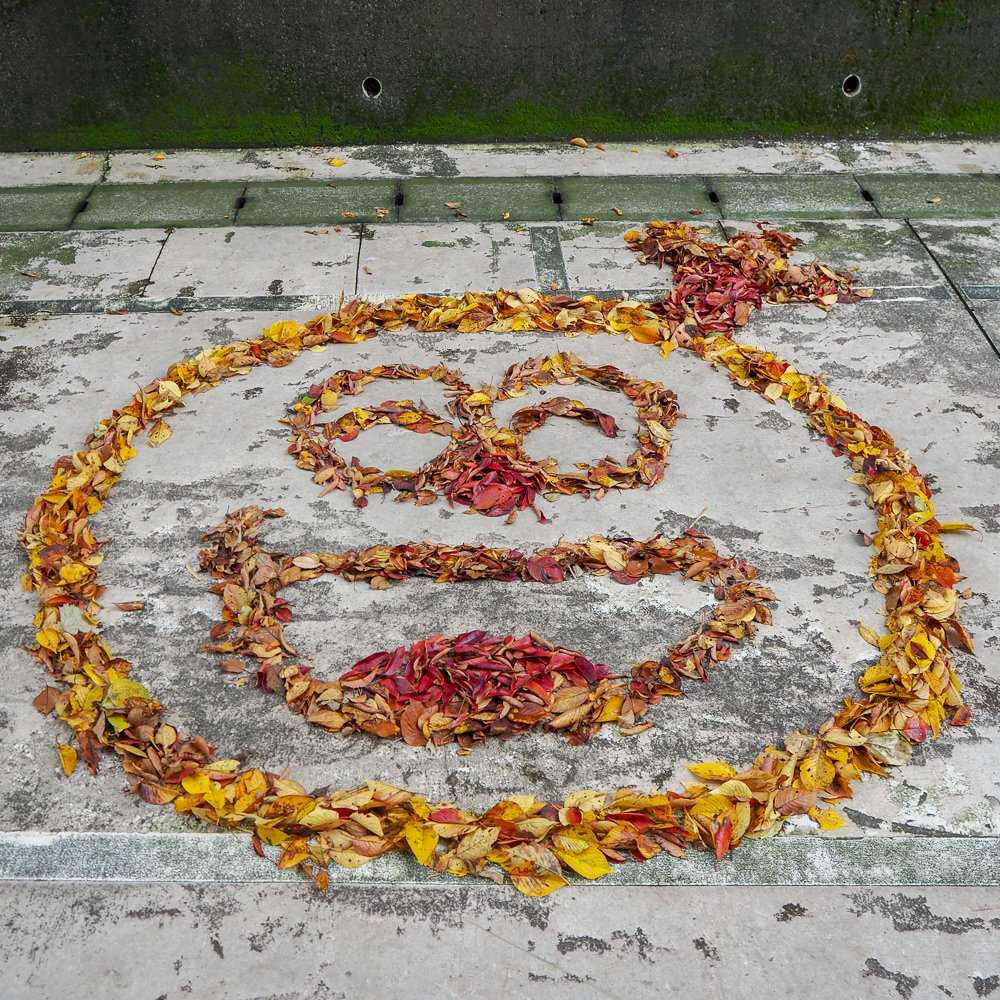 木手コロ助なり