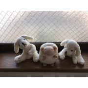 ミルクのお家