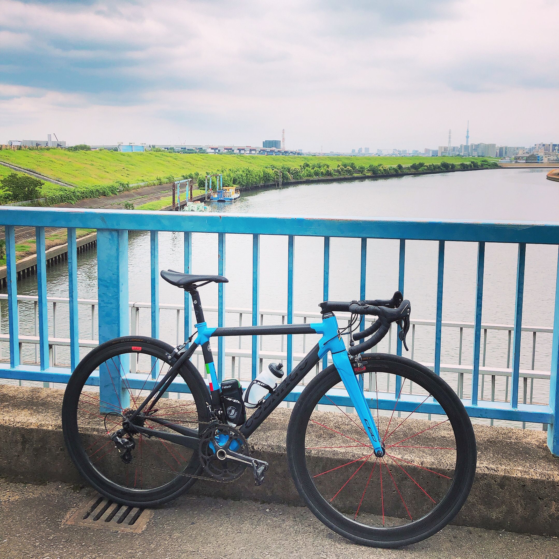 C60に鉄下駄履かせてみた Mamoのゆるゆる自転車日記 楽天ブログ