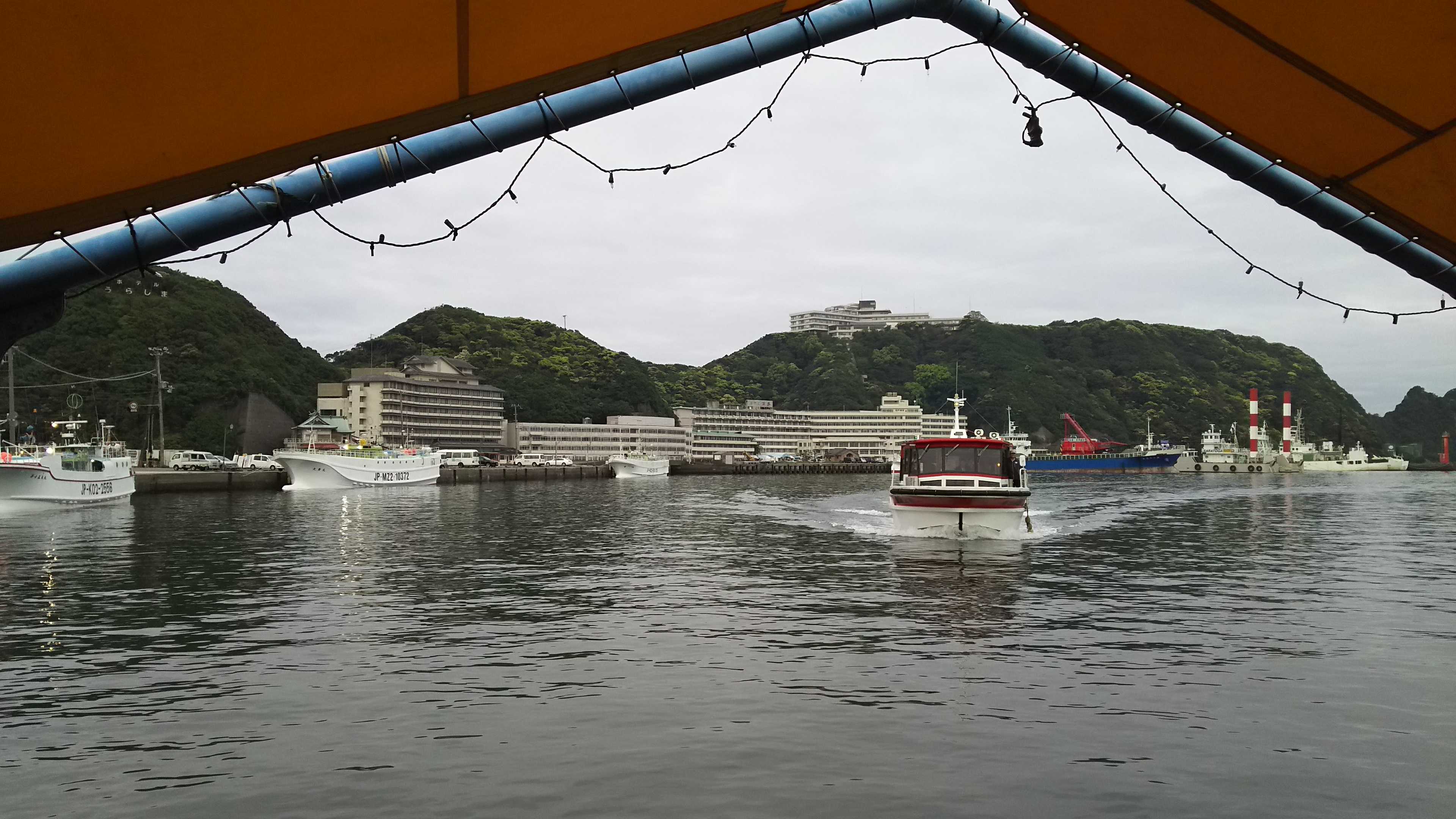 大阪市　ごーちん