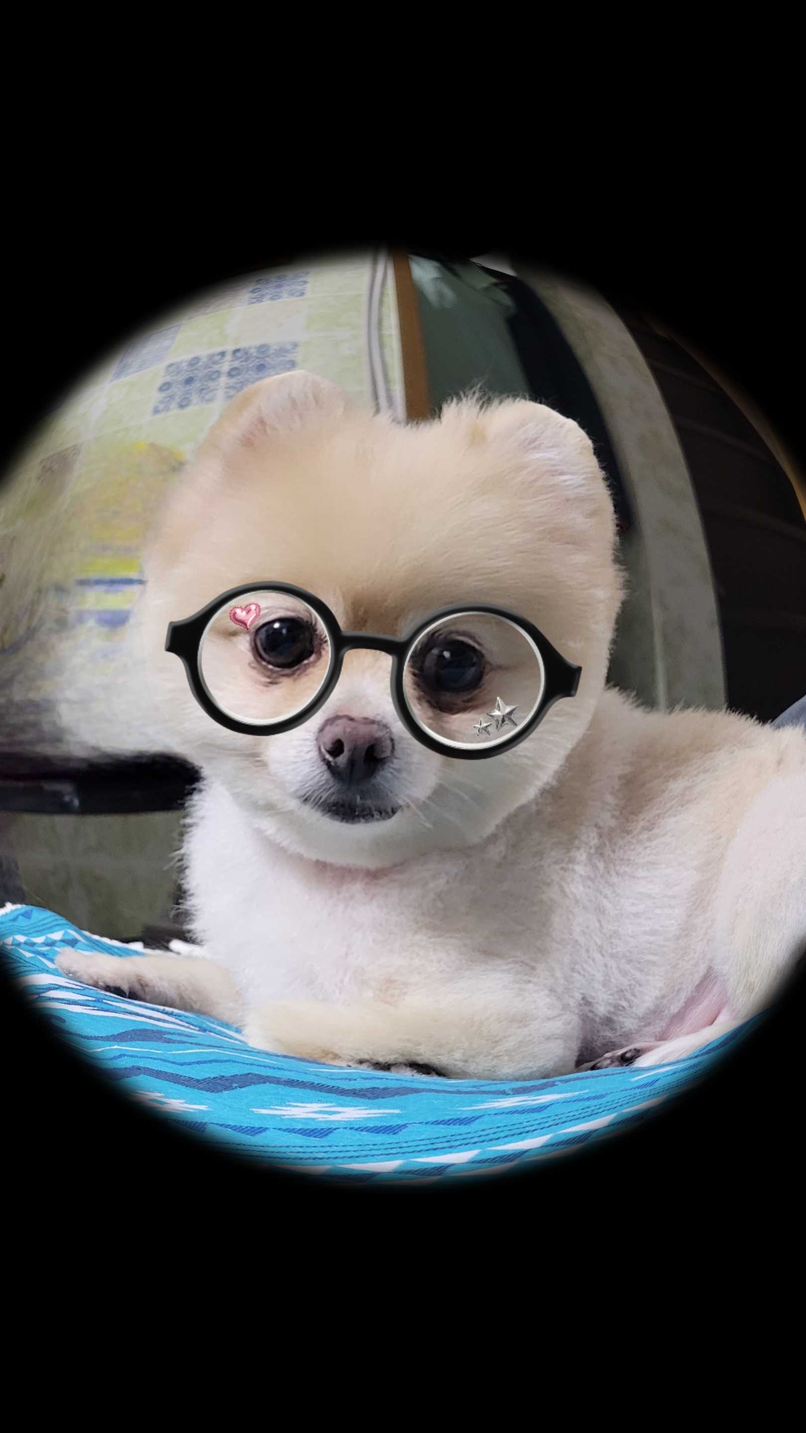 めろママ☆