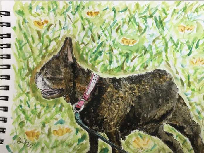 ぶきっちょあいぴょん