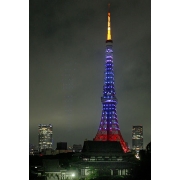 Luci.:*゜
