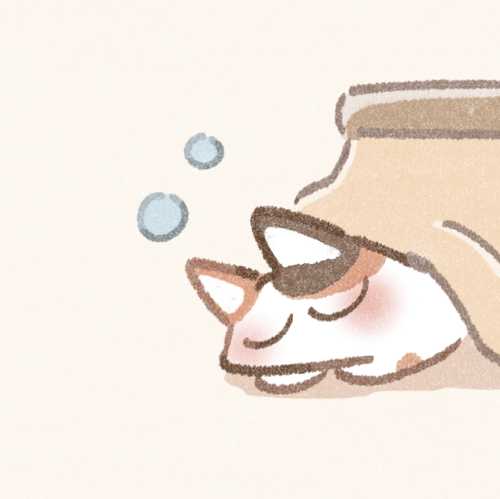 たまねこにゃんこさん
