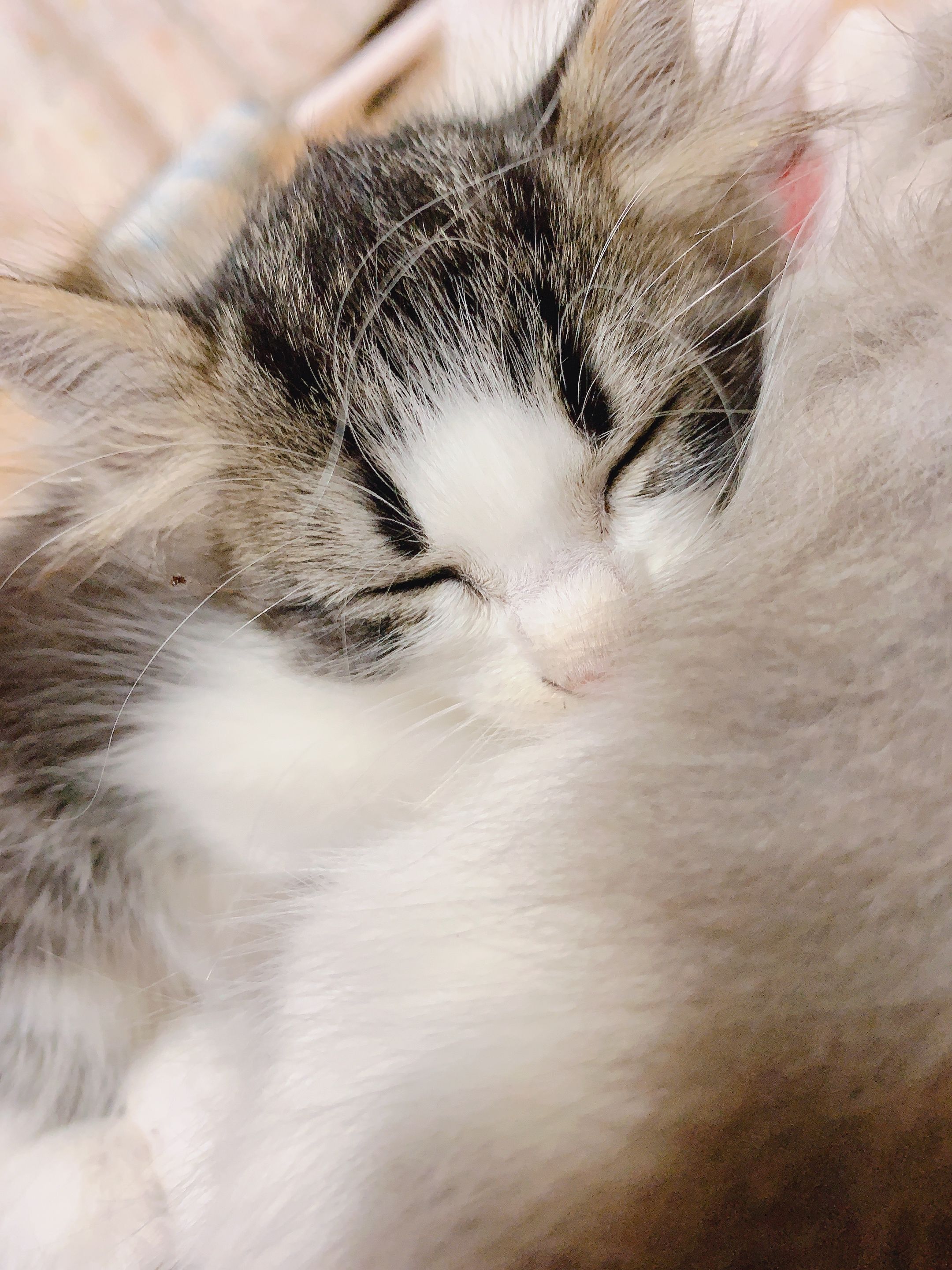 まこちゃんの初めてのブログ