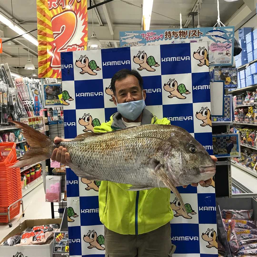 海都3509