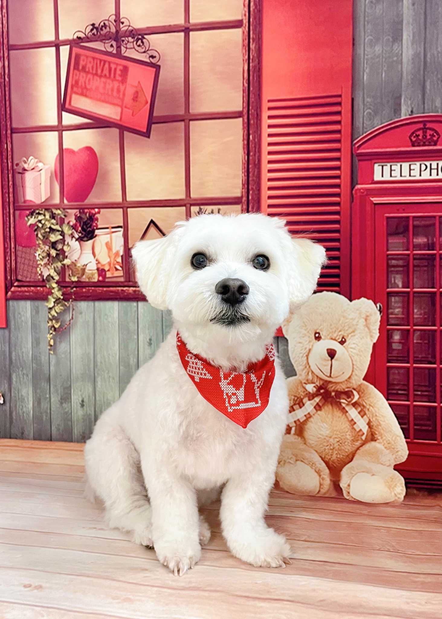 ☆ひぃちゃんママ☆