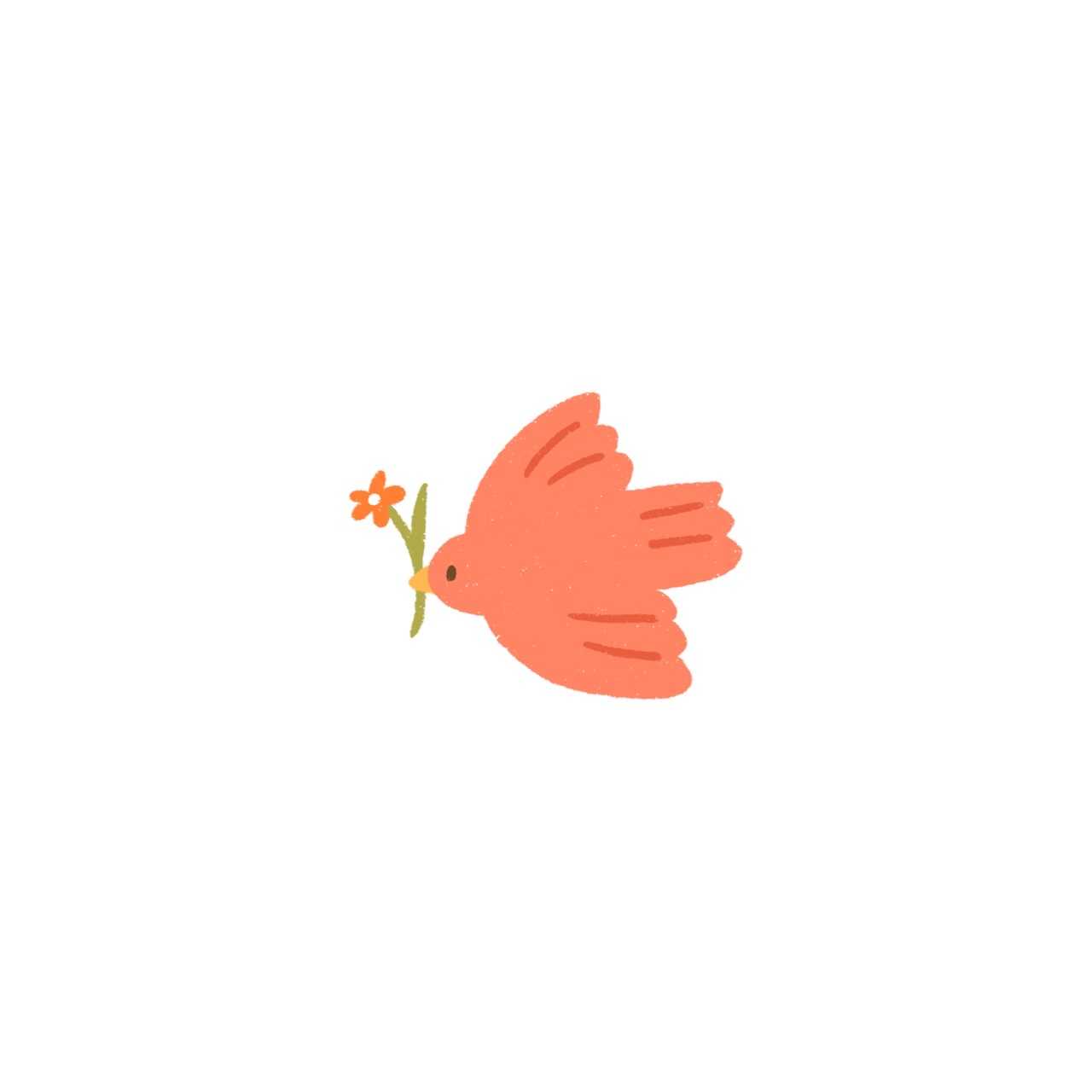 わこ0408