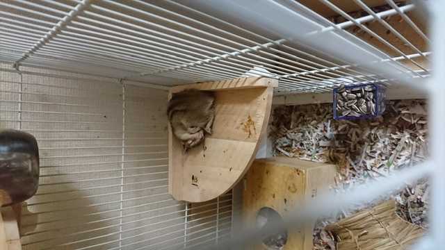 ちょい便利なしゃべり場