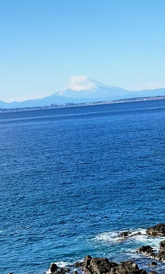 ラブぴよちゃん