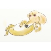 とらこ999