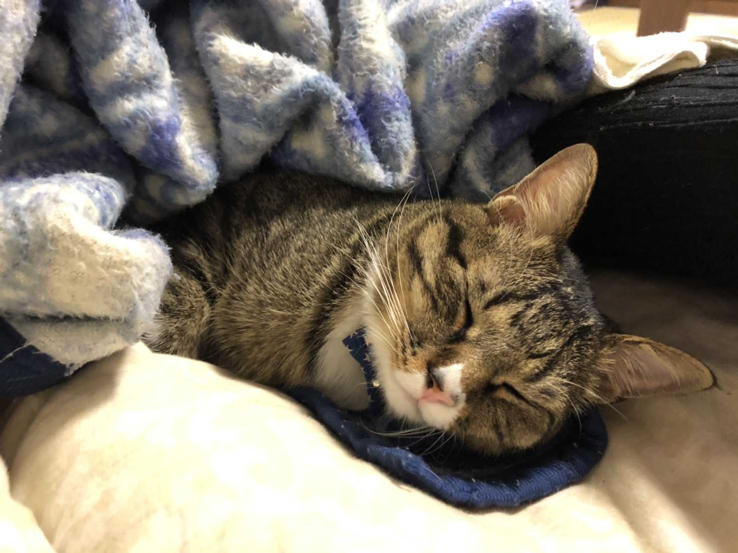 速く行きたければひとりで行け遠くに行きたければ皆んなで行け Iwasukeのブログ 楽天ブログ