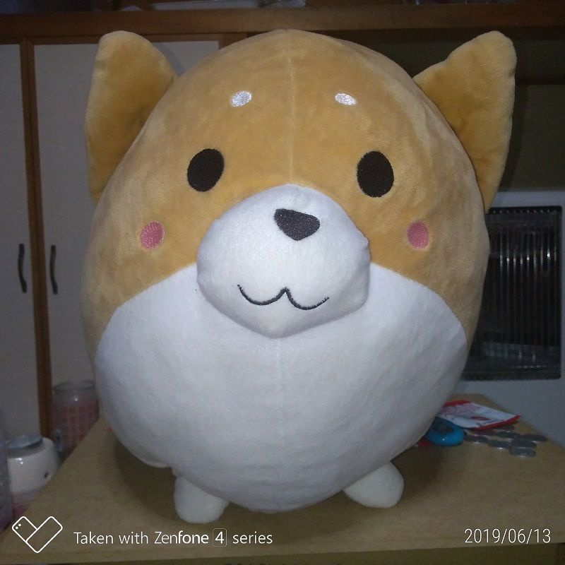 ハルヒノランダム