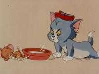 ユッキー11218338