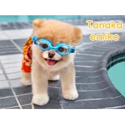 tanaka_emiko