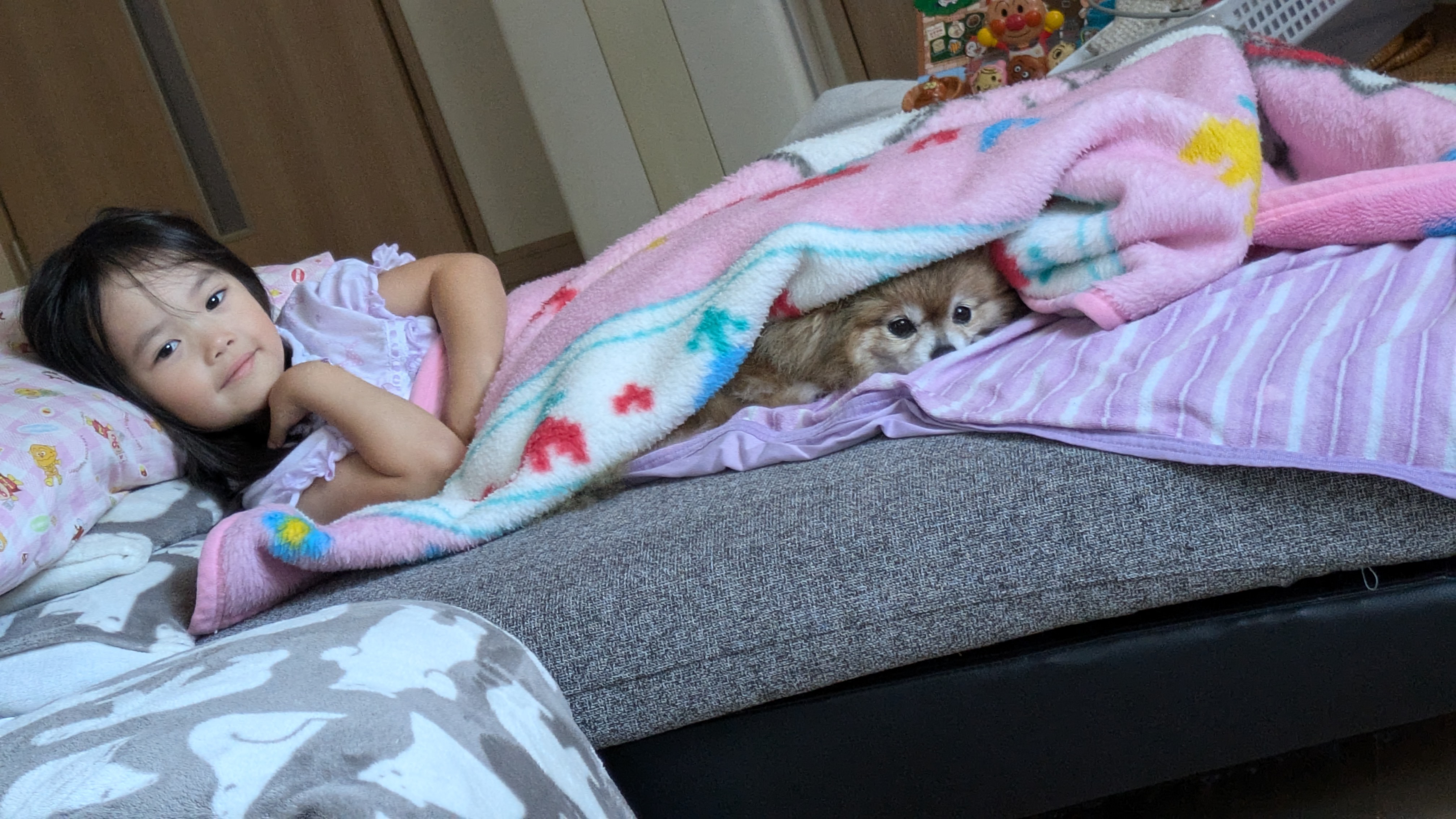 いがまろ