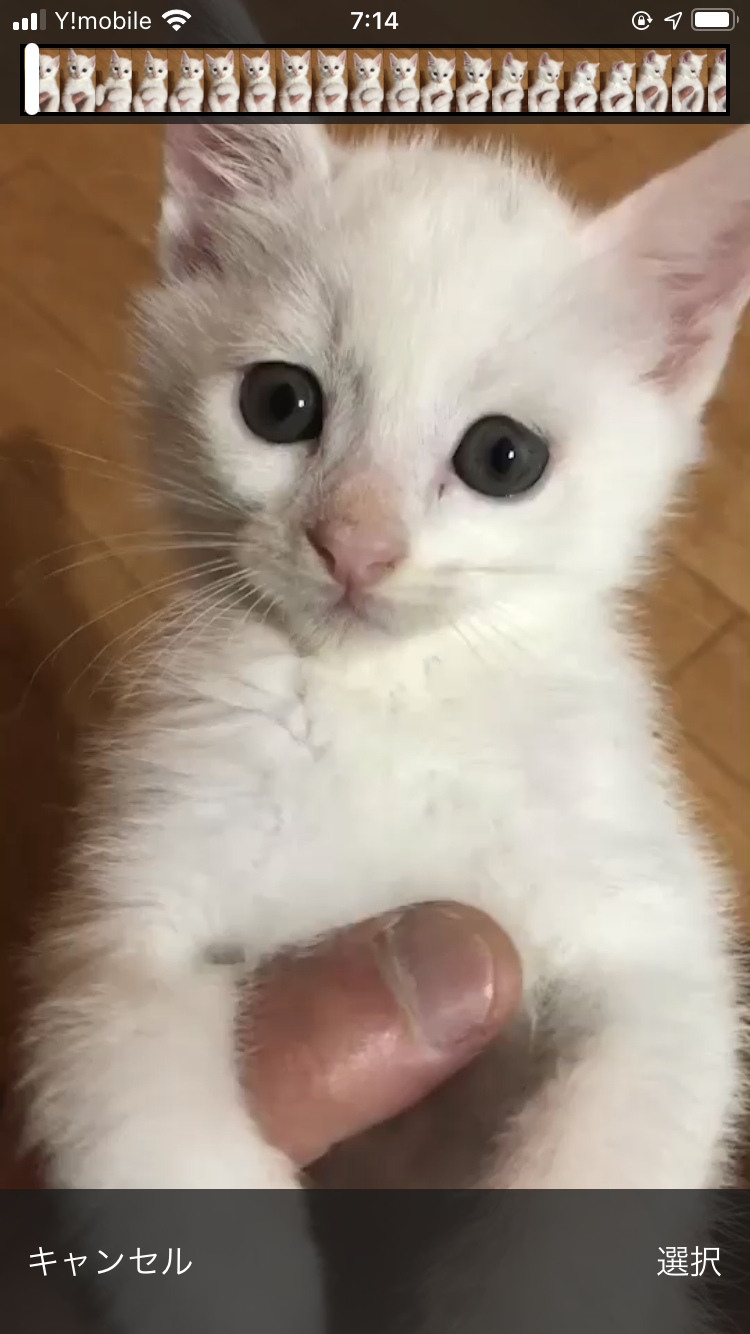 ニコル77777