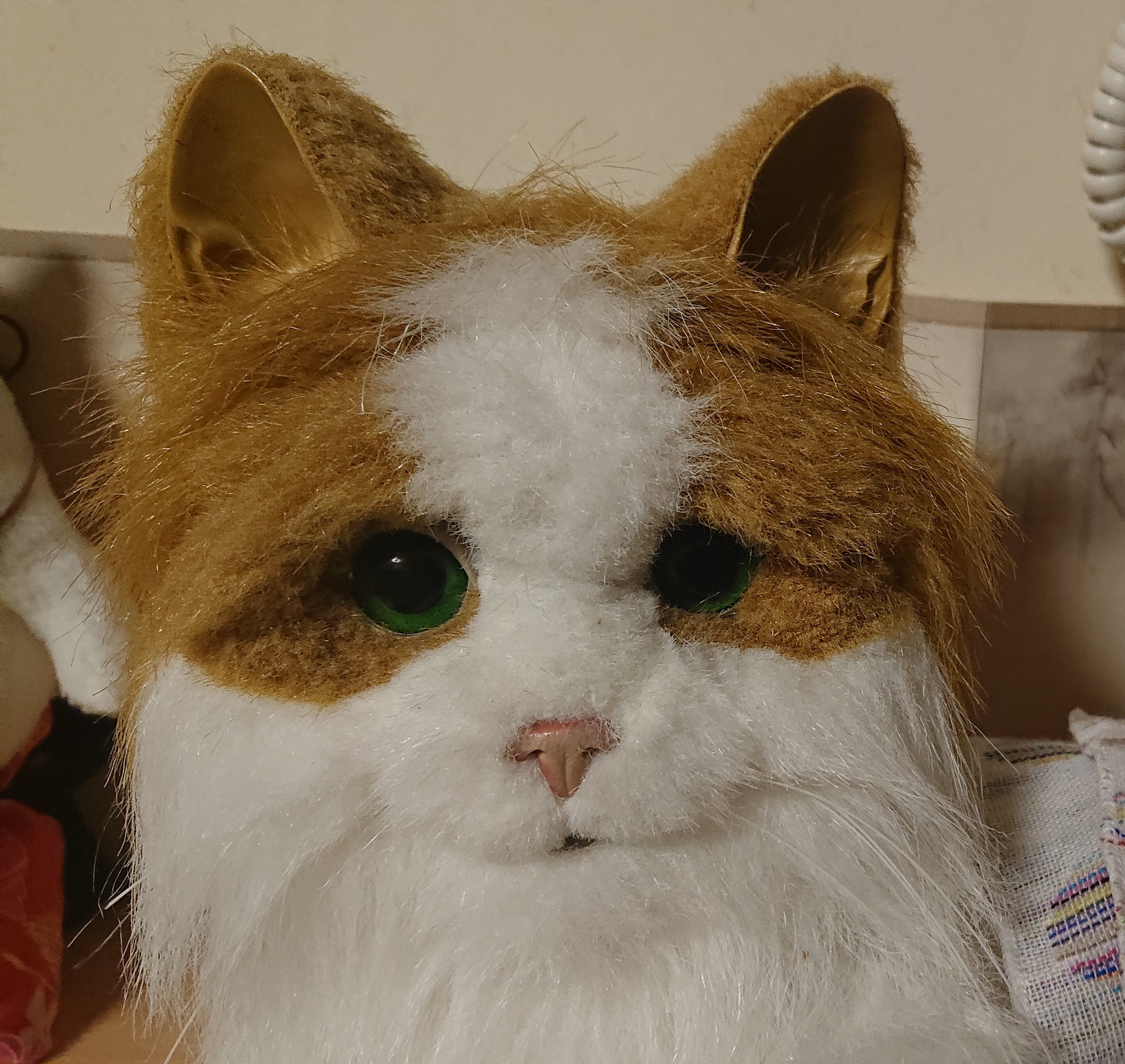 ばんばん7971