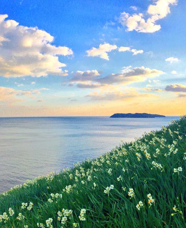 tender-breeze